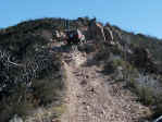 Climbing the Stair Steps